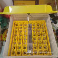 Energy Saving Mini Eggs Incubator Machine With Selling